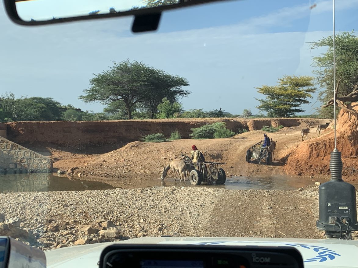 Cars and donkeys in the Ethiopian Somali region. Radhika Singh / IWMI