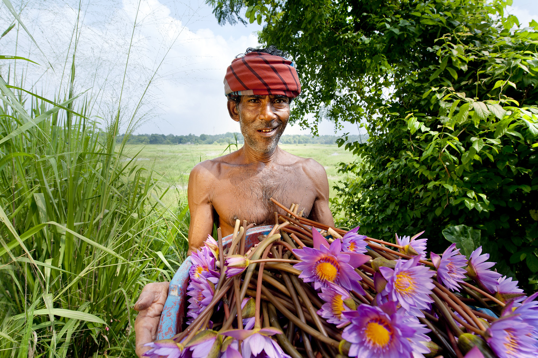 Man with lotus flowers plucked from neighboring wetlands for sale. Hamish John Appleby / IWMI.