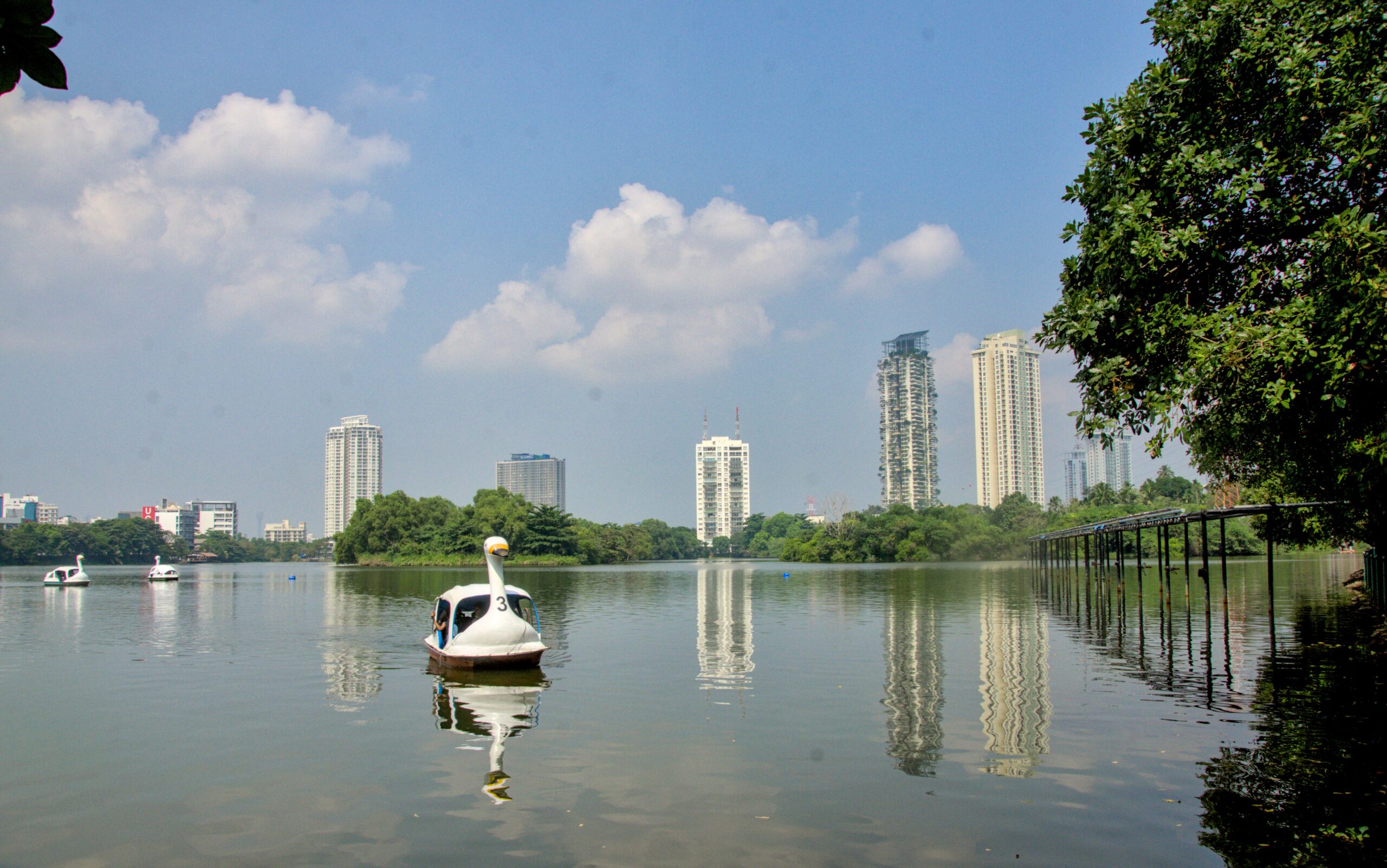 Swan boats on Diyawanna Lake and Wetland, one of the marshlands that contribute to flood mitigation in Colombo Commercial City. By Laura Keil / IWMI.