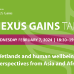 Wetlands and human wellbeing: Perspectives from Asia and Africa