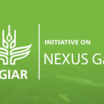 NEXUS Gains Policy Dialogue and Annual Pause and Reflect Workshop
