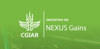 Nexus Gains logo