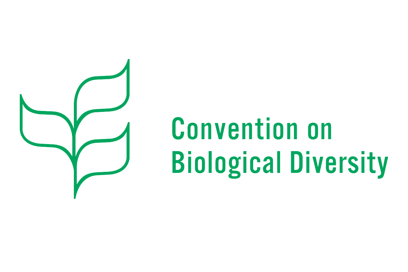 Convention on Biological Diversity: SBSTTA-26