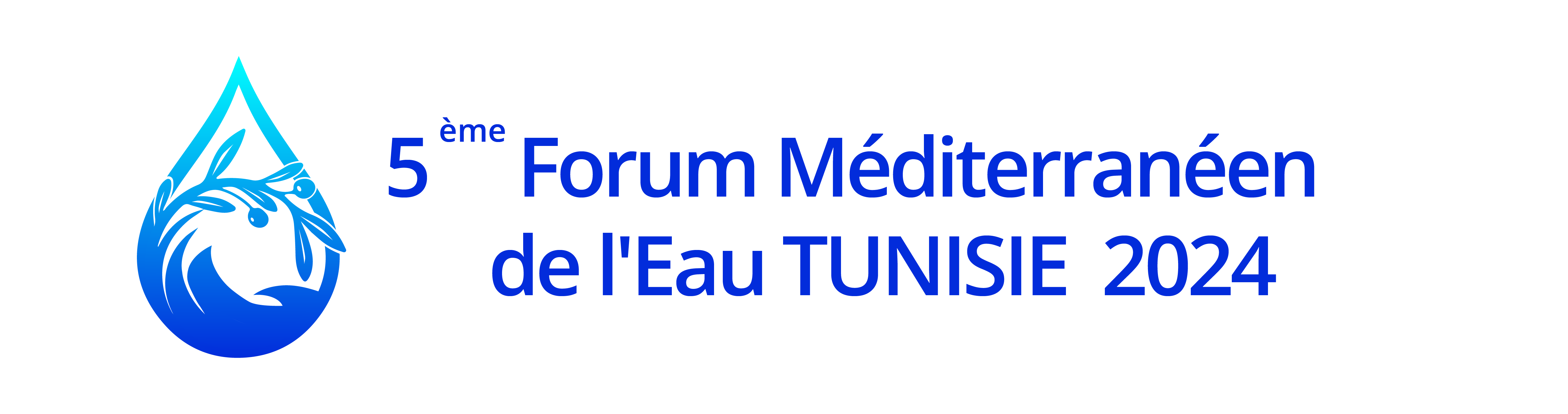 5th Mediterranean Water Forum