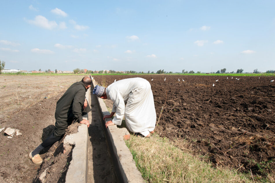 Small irrigation canal in Egypt. Photo: Hamish John Appleby