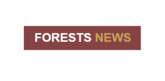 Forests news logo
