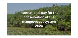 Mangrove Conservation 2024