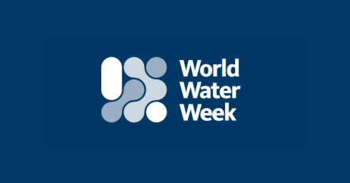 IWMI at World Water Week 2020