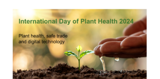 International Day of Plant Health 2024