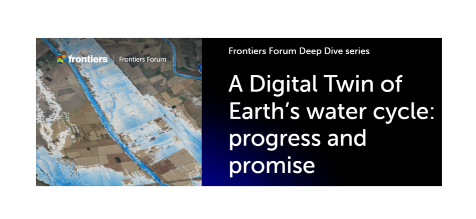 A digital twin of Earth's water cycle: progress and promise